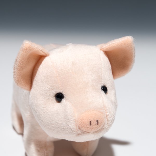 スターチャイルド STAR CHILD ぬいぐるみ 仔ブタのトントン 1284 アップ