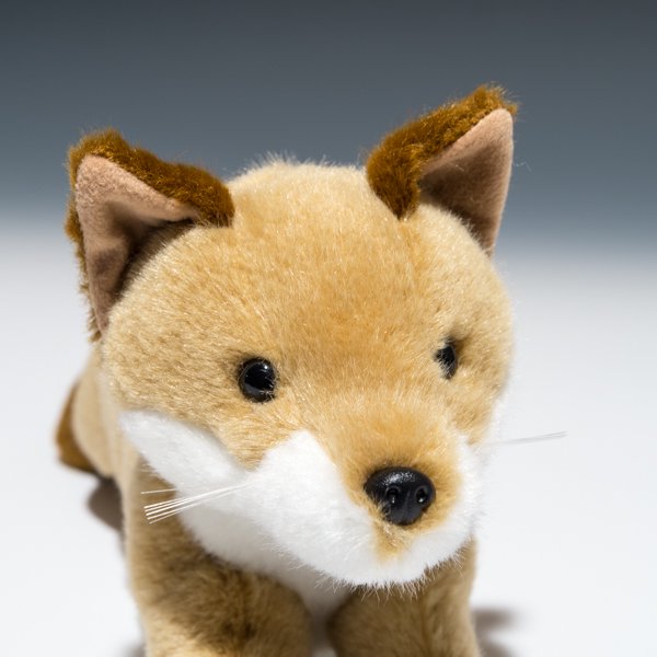 スターチャイルド STAR CHILD ぬいぐるみ キタキツネ 1351 アップ