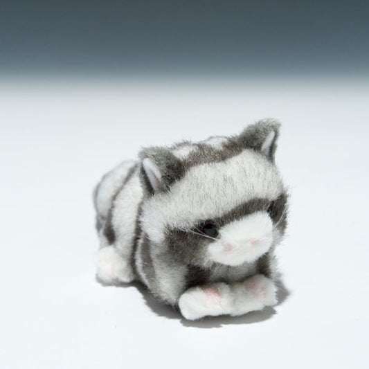 たけのこ TAKENOKO ぬいぐるみ プチプチらんど (A) ネコ グレー 58431 右横