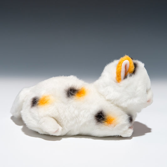 たけのこ TAKENOKO ぬいぐるみ プチどりーむ ミニ (A) ミケネコ 95034 右横