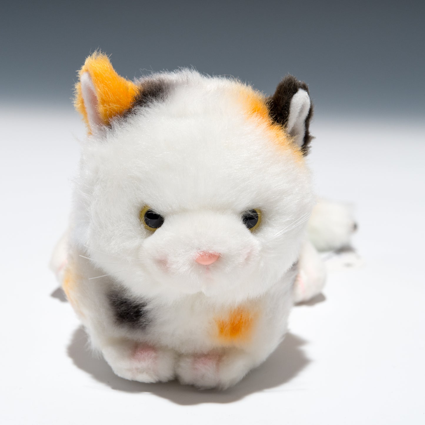 たけのこ TAKENOKO ぬいぐるみ プチどりーむ ミニ (A) ミケネコ 95034 アップ
