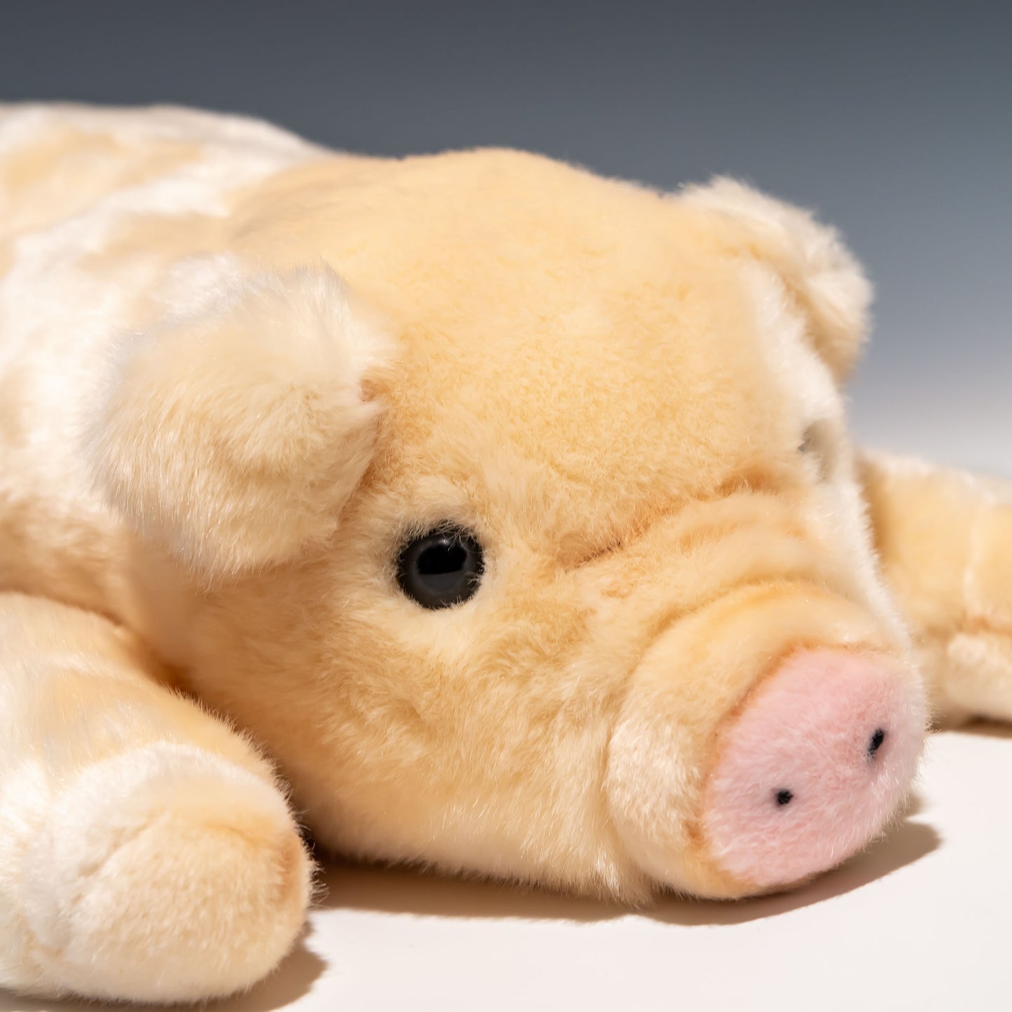 CUTE キュート販売 ぬいぐるみ ブタ這い M F0067 右横顔