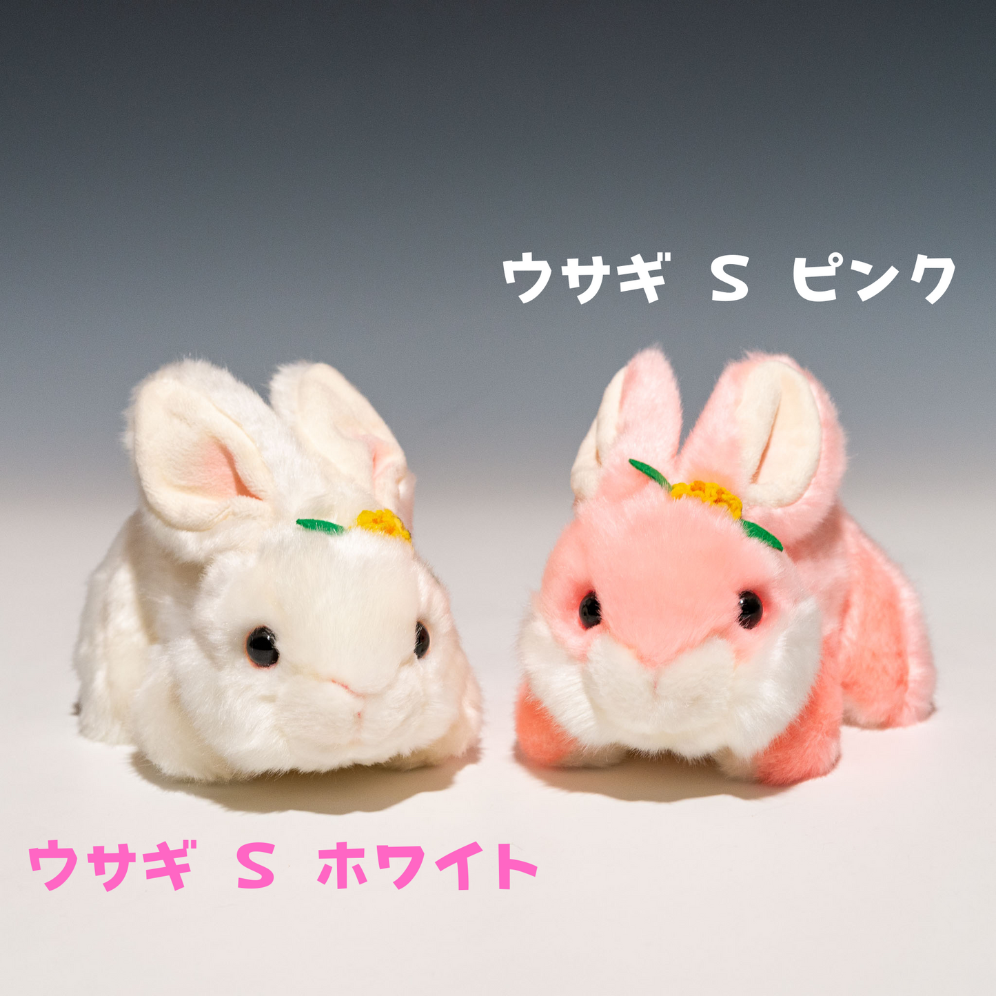 キュート販売 CUTE ぬいぐるみ ウサギ S ホワイト F0001 ピンクSと一緒の写真
