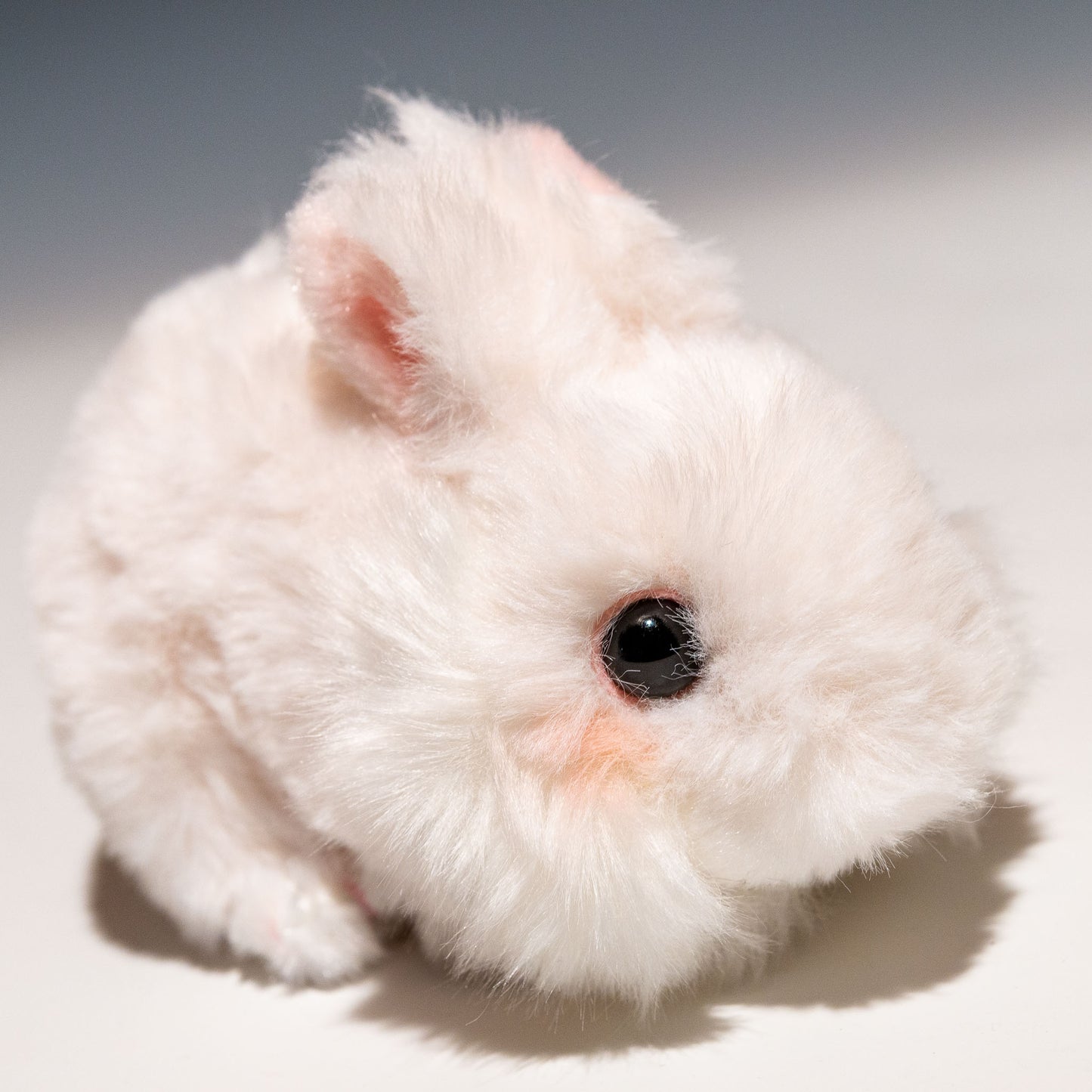 CUTE キュート販売 ぬいぐるみ ふわふわうさぎ S 這い ホワイト F0233 右横顔