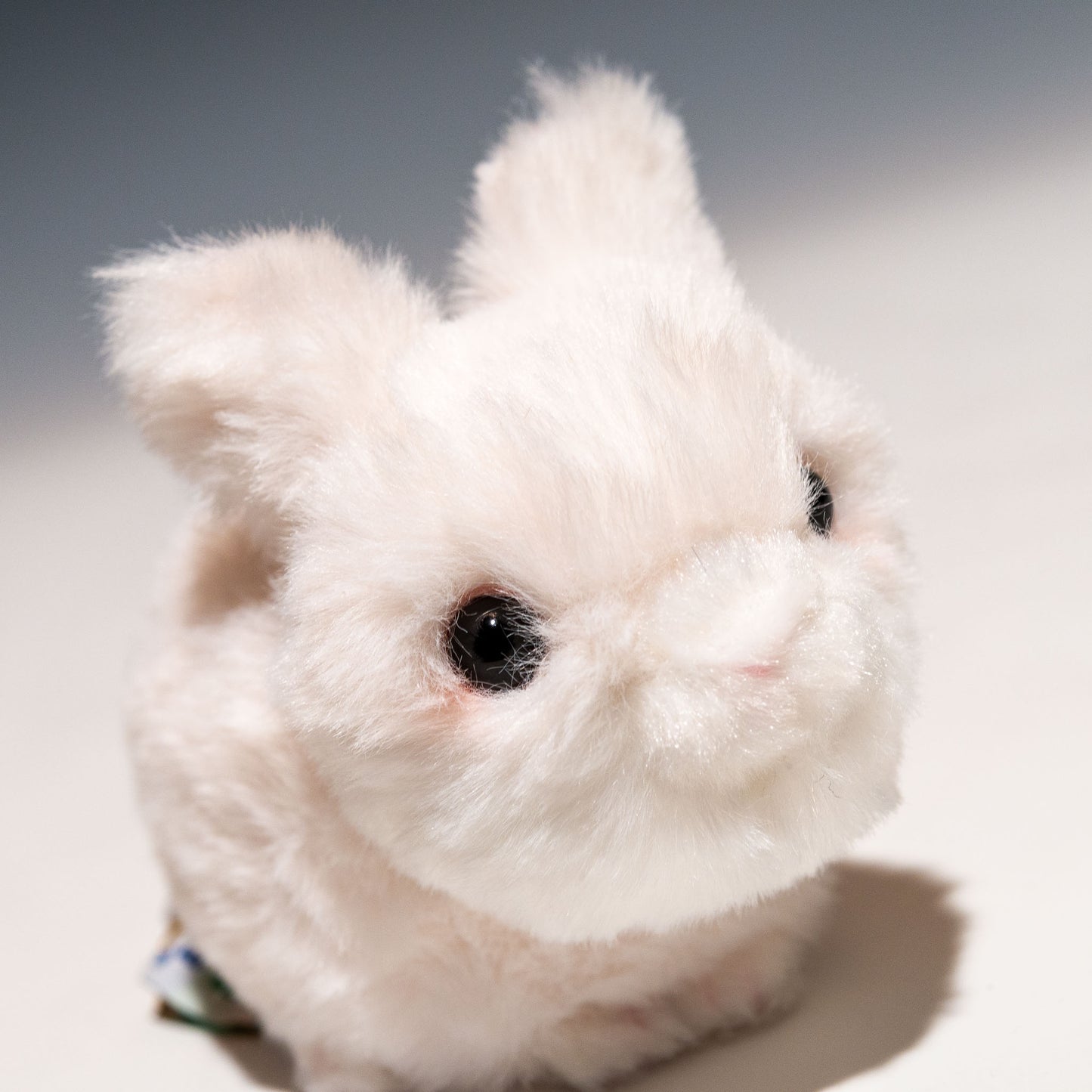 CUTE キュート販売 ぬいぐるみ ぬいぐるみ こうさぎ ホワイト F0249 右横顔