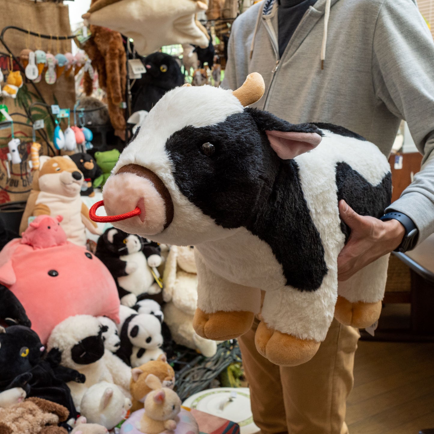 CUTE キュート販売 ぬいぐるみ ウシさんリアル 特大 F0271 持ったところ