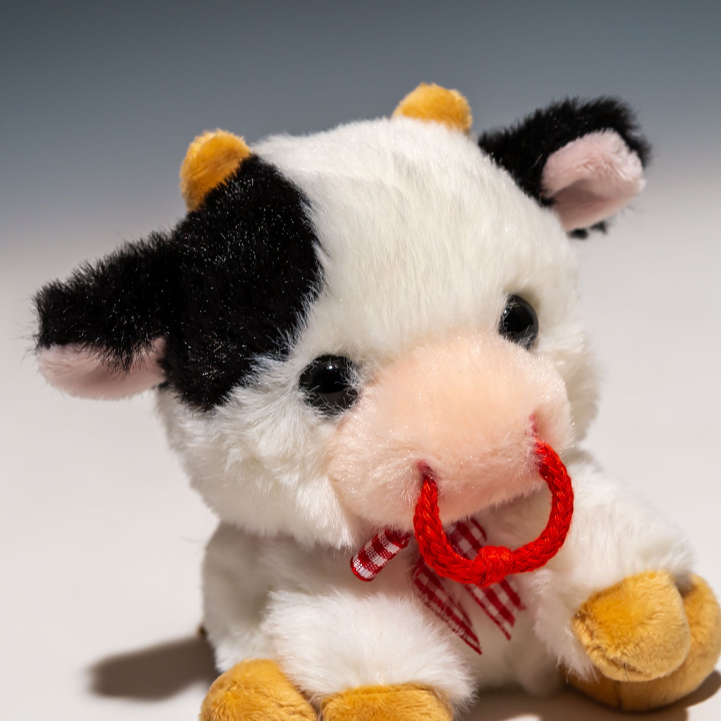 CUTE キュート販売 ぬいぐるみ ウシさん おすわり SS F0272 右横顔