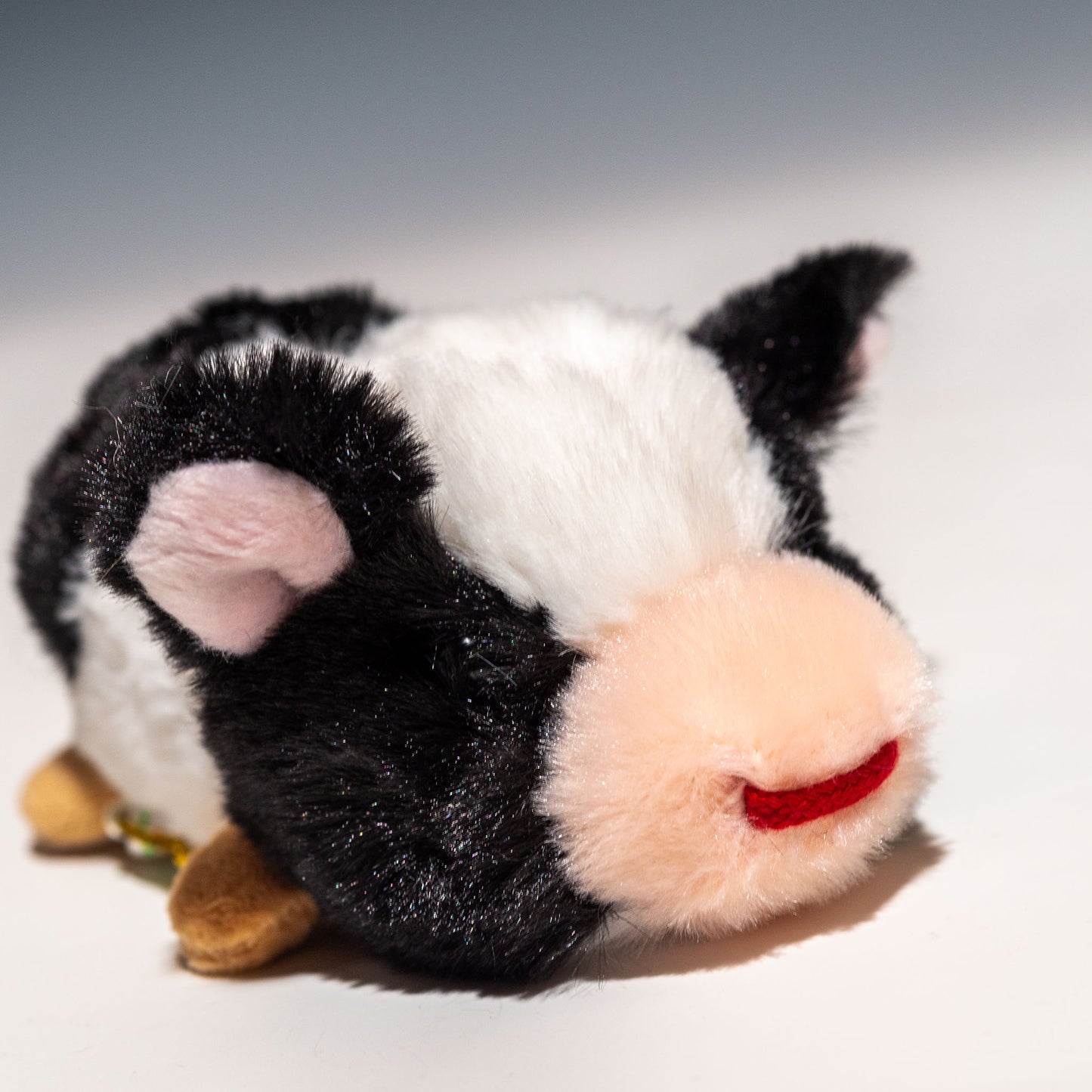 CUTE キュート販売 ぬいぐるみ てのひらウシさん ほるすたいん F0281 右横顔