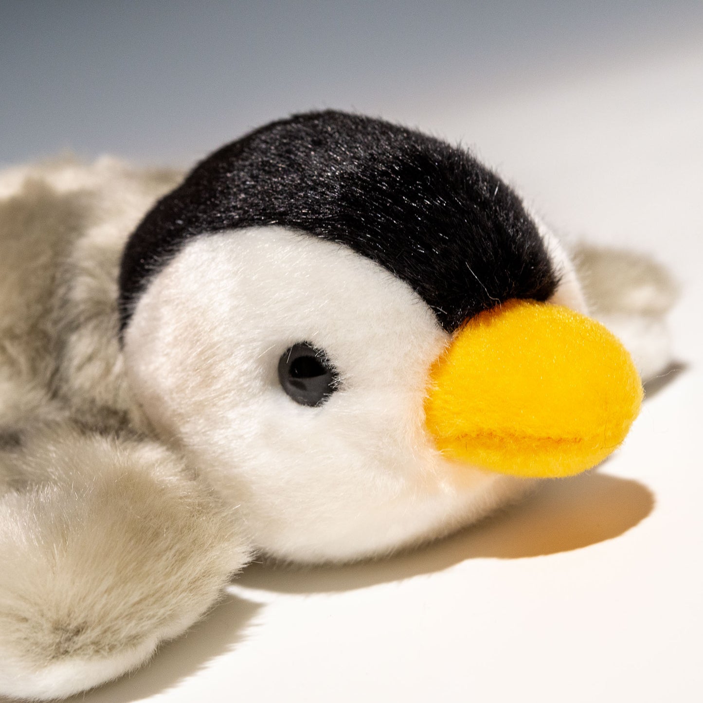 CUTE キュート販売 ぬいぐるみ ベビーペンギン S M0010 右横顔