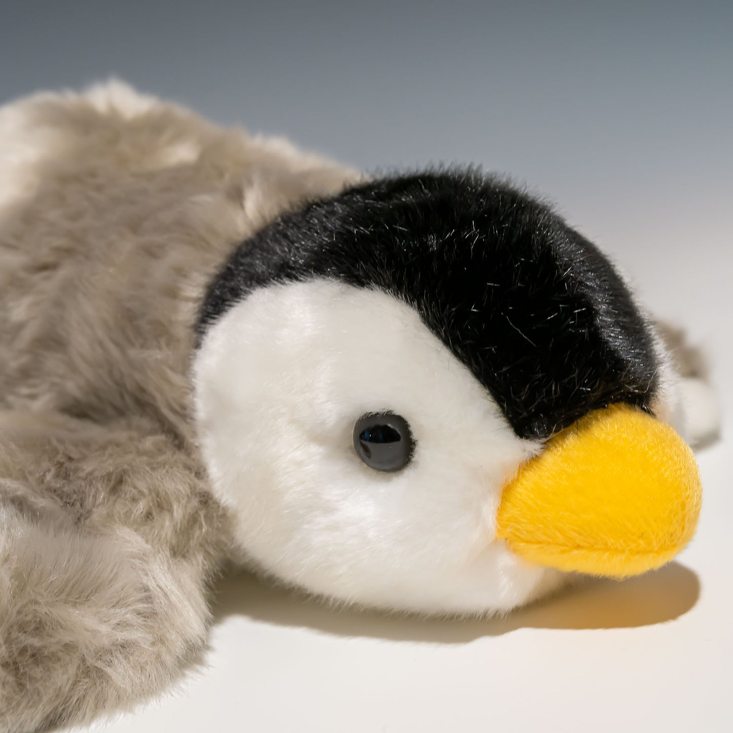 CUTE キュート販売 ぬいぐるみ ベビーペンギン M M0036 右横顔