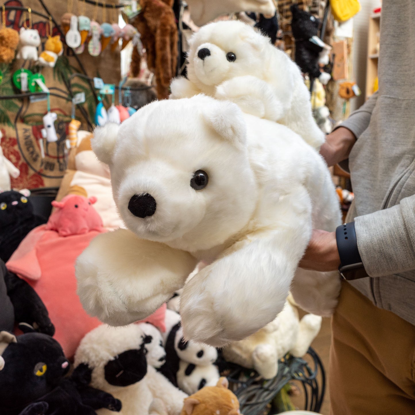 CUTE キュート販売 ぬいぐるみ シロクマ L M0067 持ったところ