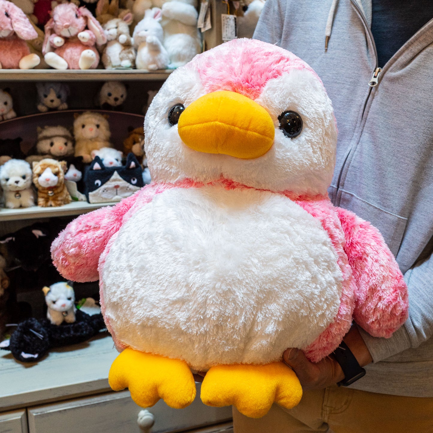 CUTE キュート販売 ぬいぐるみ アストラペンギン LL ピンク M0289 持ったところ