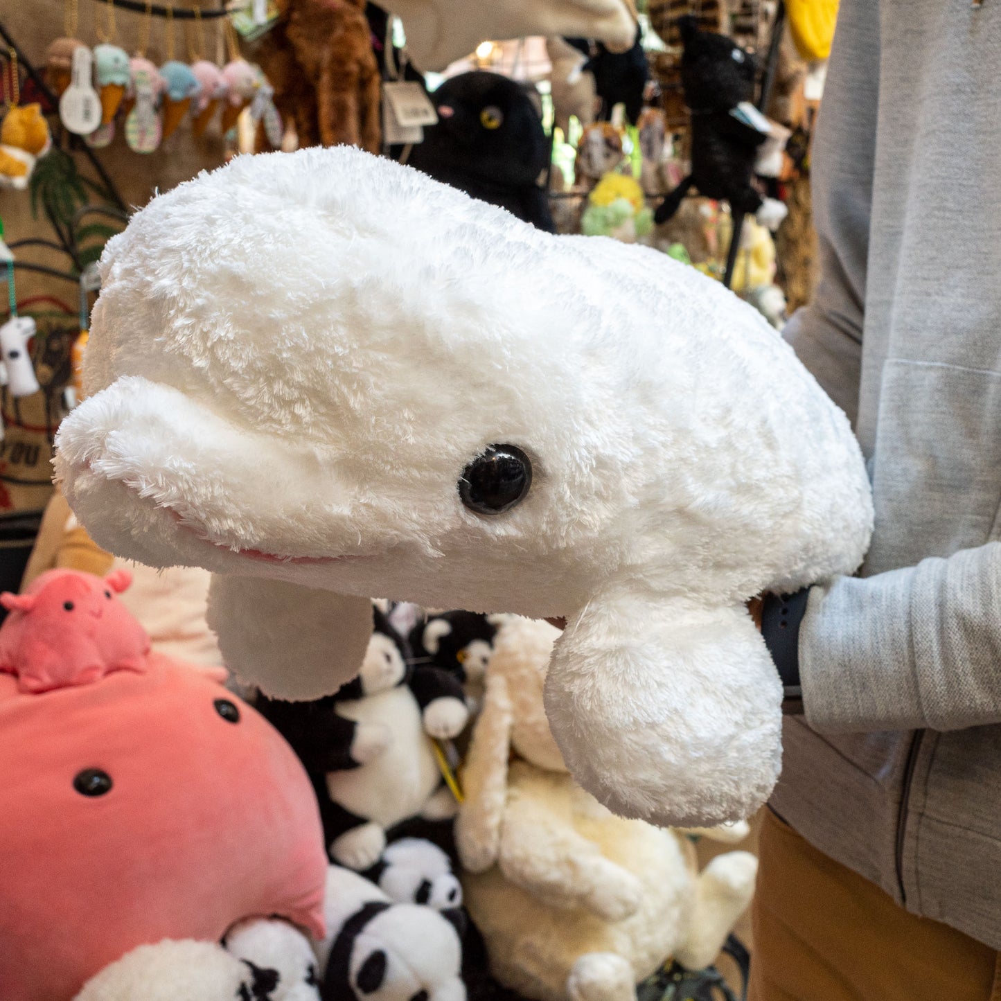 CUTE キュート販売 ぬいぐるみ アストラベルーガ LL M0321 持ったところ