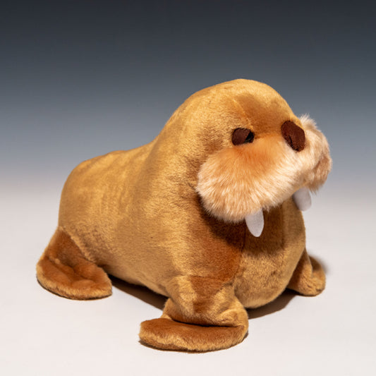 CUTE キュート販売 ぬいぐるみ セイウチ M NEW M0345 右横