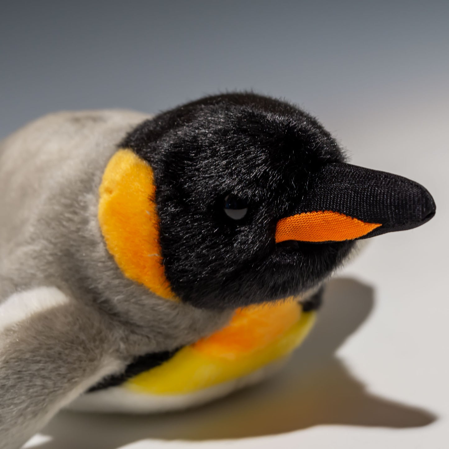 CUTE キュート販売 ぬいぐるみ ぷかぷかオウサマペンギン S M0392 右横顔