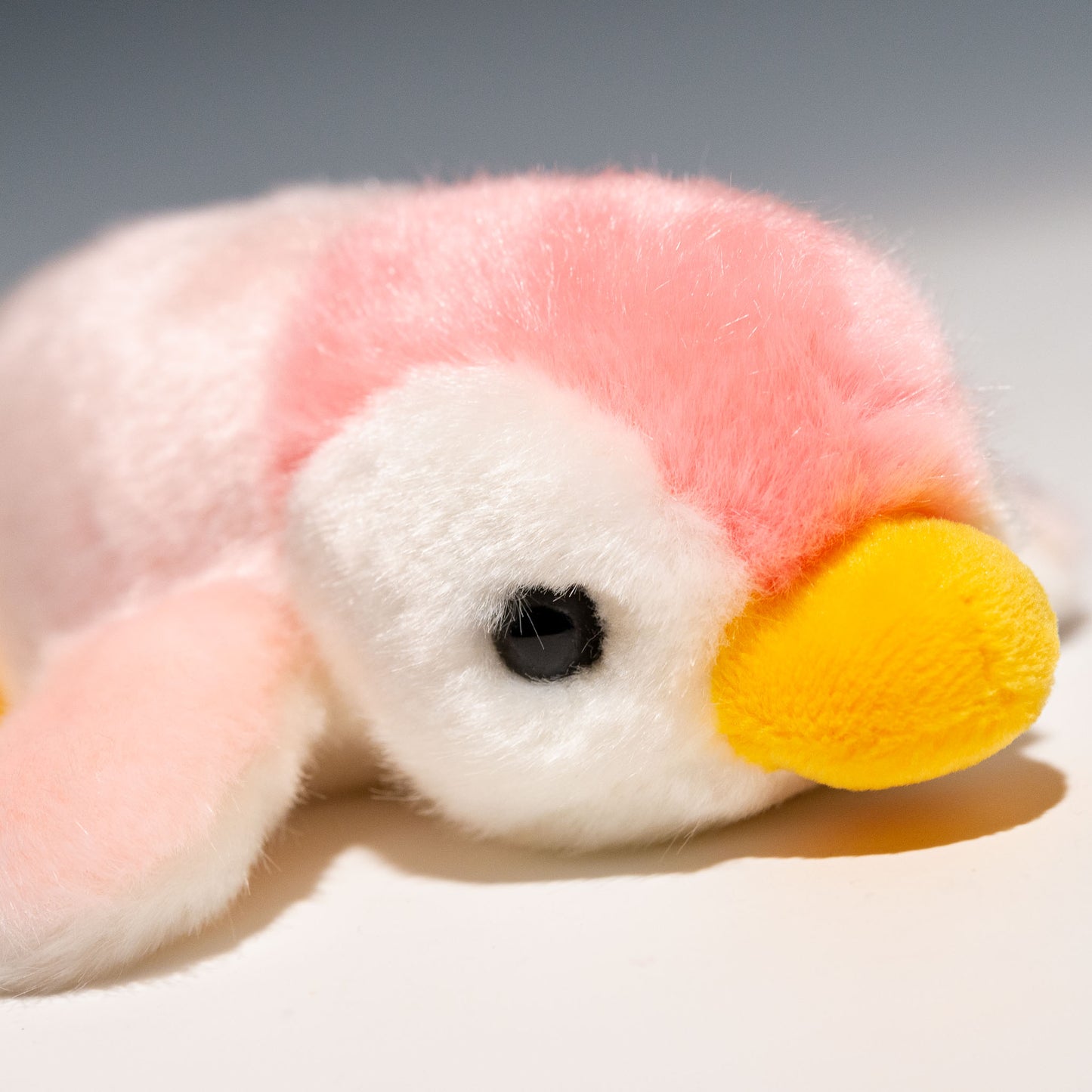 キュート販売 CUTE ぬいぐるみ ベビーペンギン SS ピンク M0461 右横顔