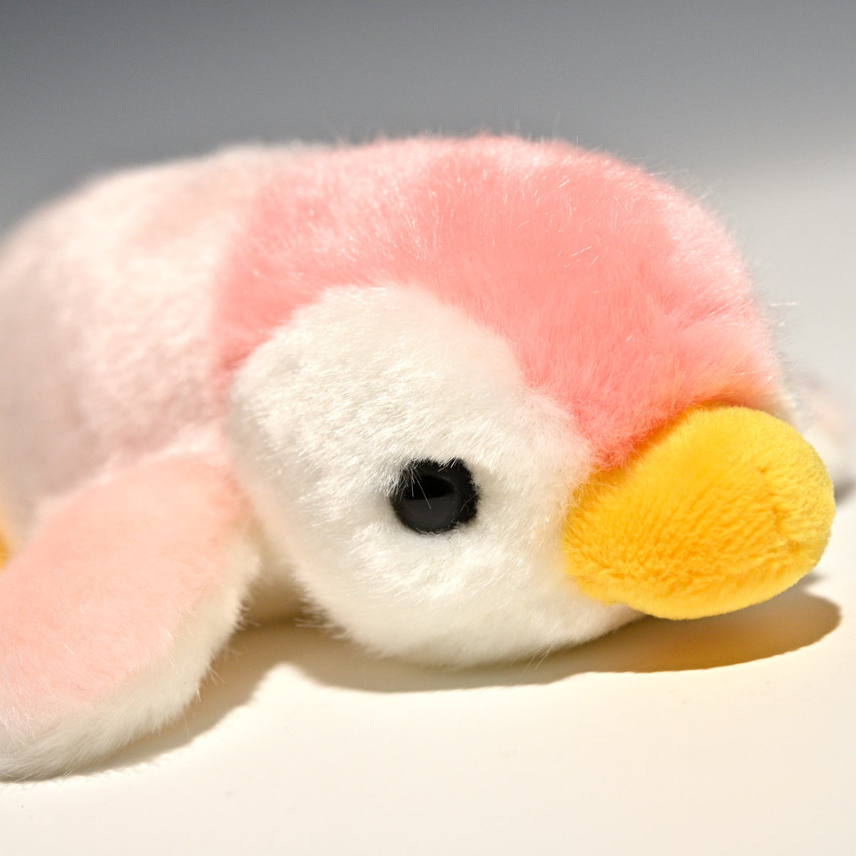 キュート販売 CUTE ぬいぐるみ ベビーペンギン SS ピンク M0461 右横顔
