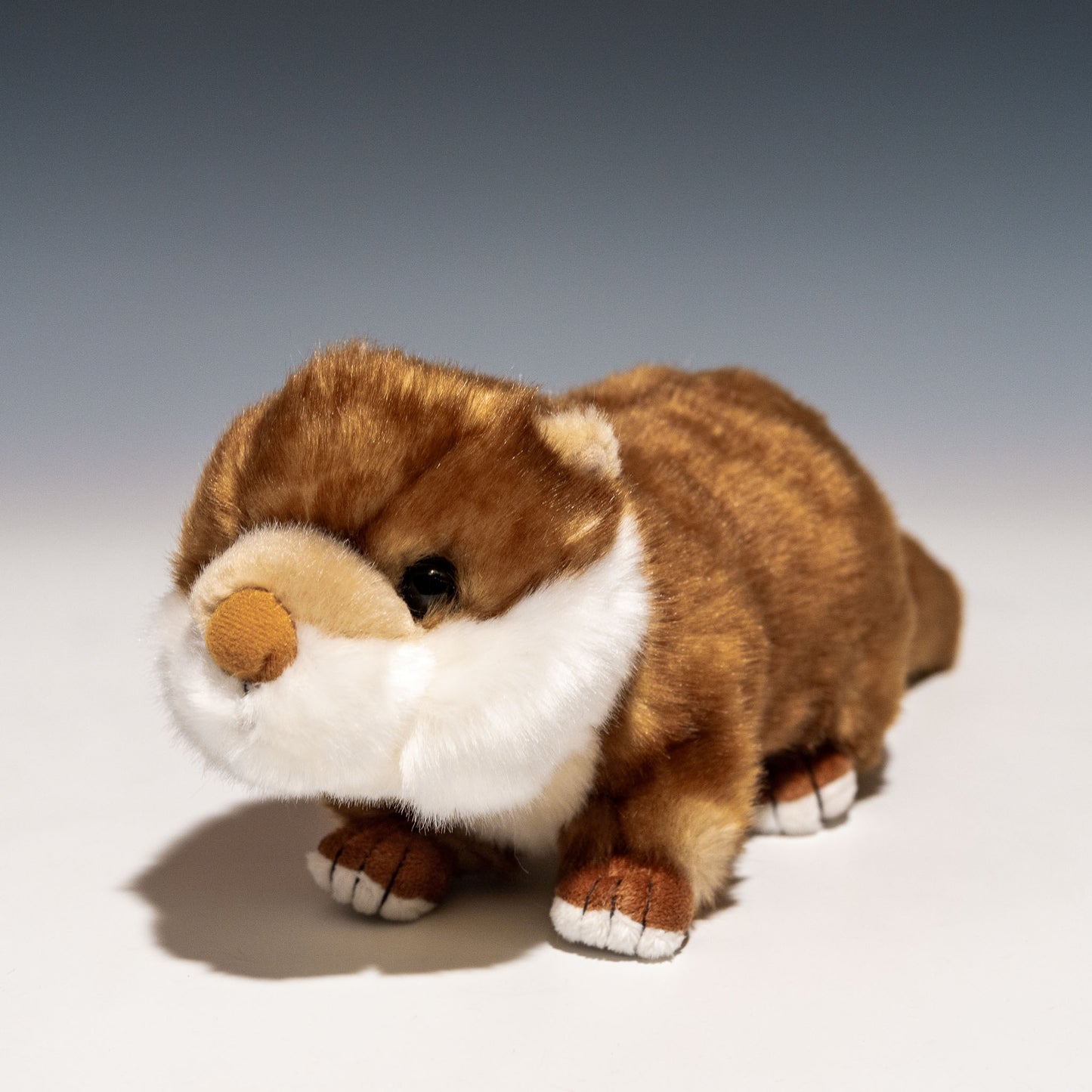 キュート販売 CUTE ぬいぐるみ コツメカワウソ M N0020 正面