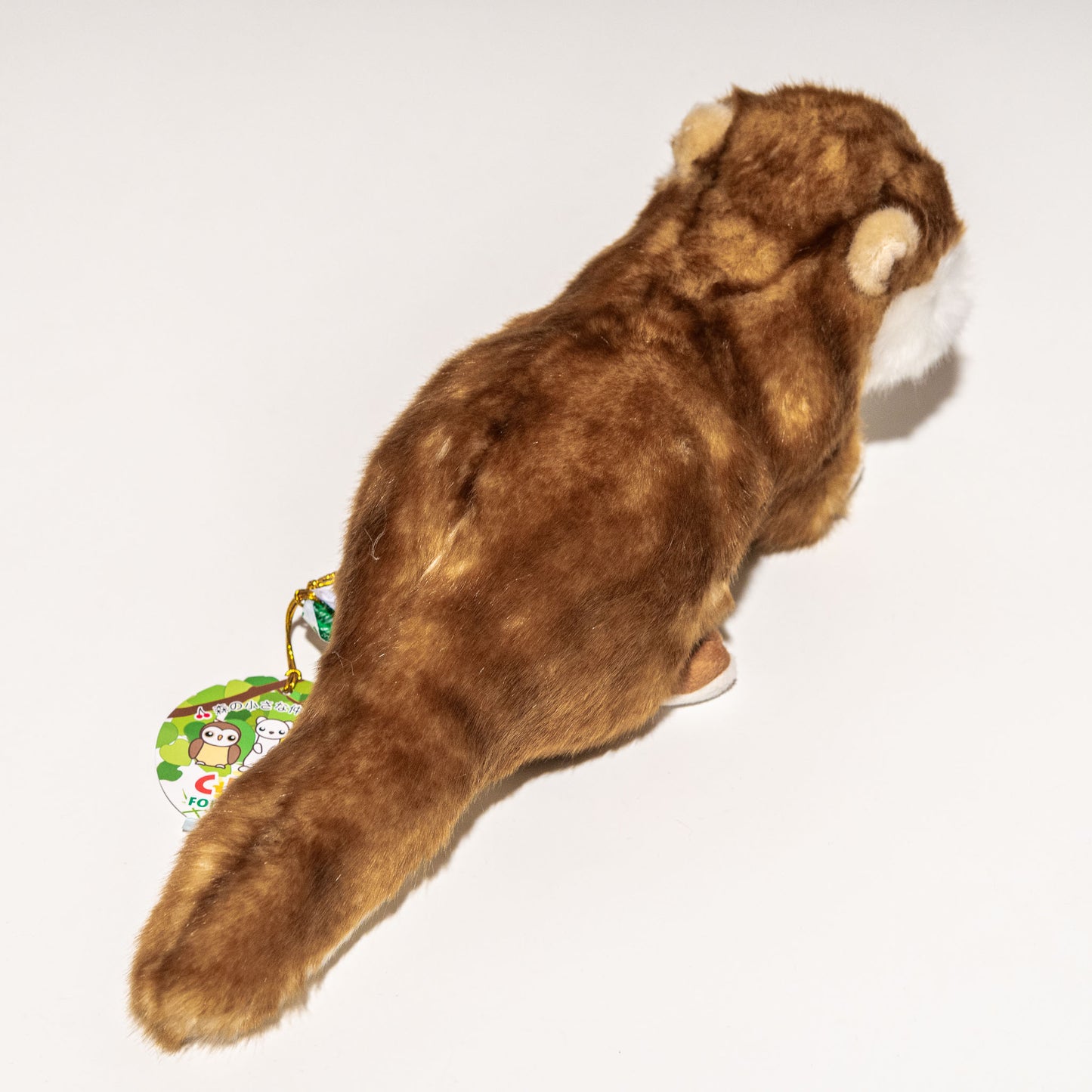 キュート販売 CUTE ぬいぐるみ コツメカワウソ M N0020 後ろ姿