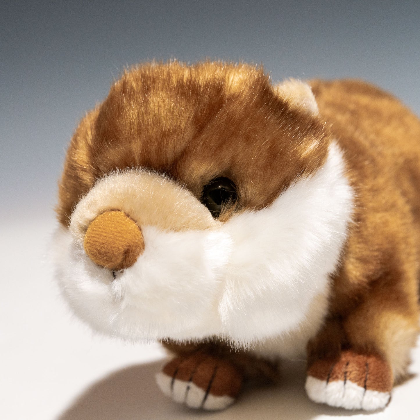 キュート販売 CUTE ぬいぐるみ コツメカワウソ M N0020 左横顔
