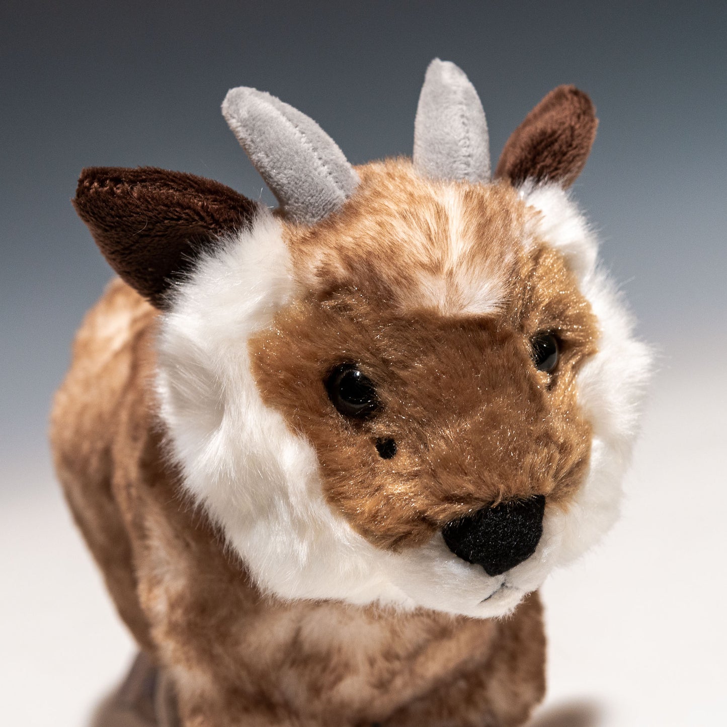 CUTE キュート販売 ぬいぐるみ ニホンカモシカ N0150 右横顔