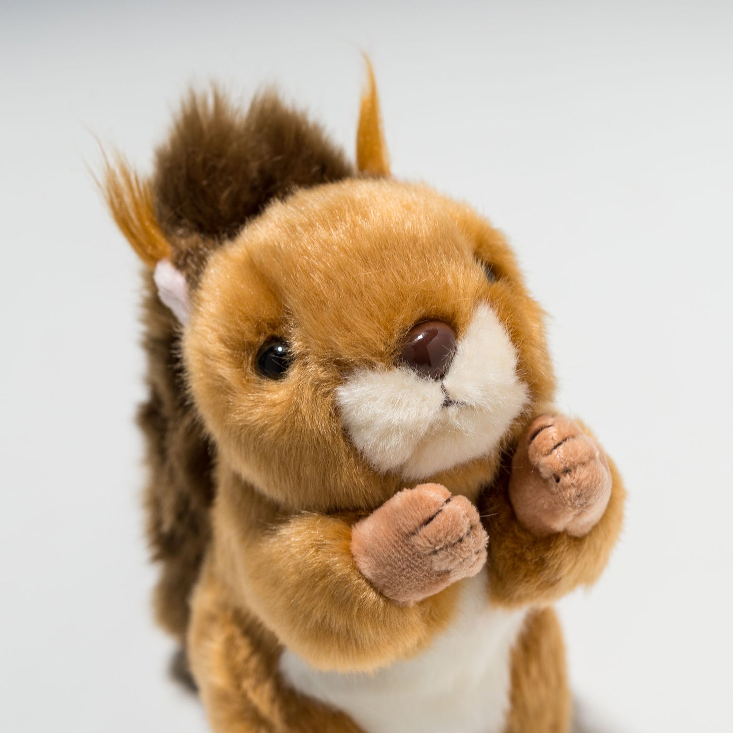 CUTE キュート販売 ぬいぐるみ ニホンリス S N0151 右横顔