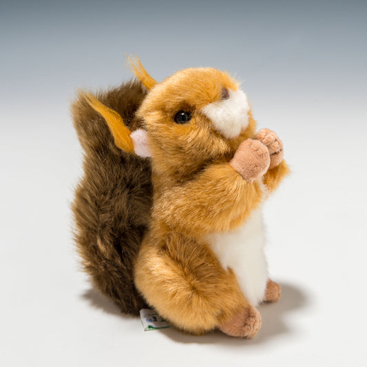 CUTE キュート販売 ぬいぐるみ ニホンリス SS N0152 右横