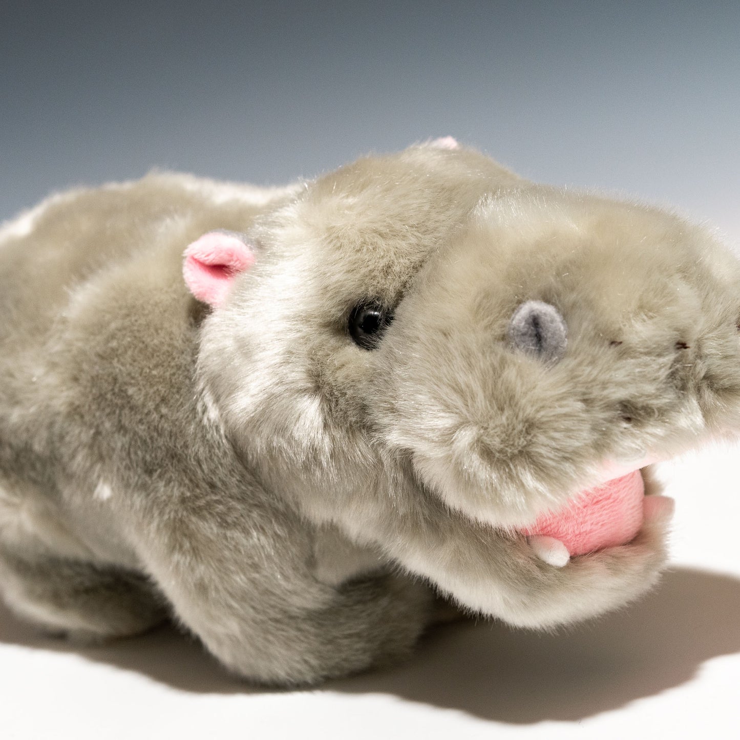 CUTE キュート販売 ぬいぐるみ カバ M Z0065 右横顔