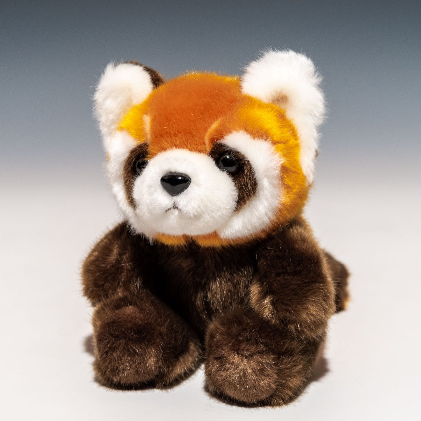 CUTE キュート販売 ぬいぐるみ お座りレッサーパンダ S Z0291 正面