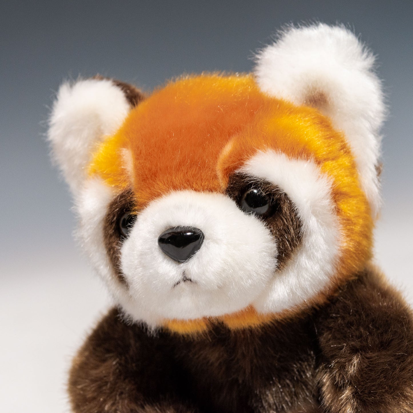 CUTE キュート販売 ぬいぐるみ お座りレッサーパンダ S Z0291 左横顔