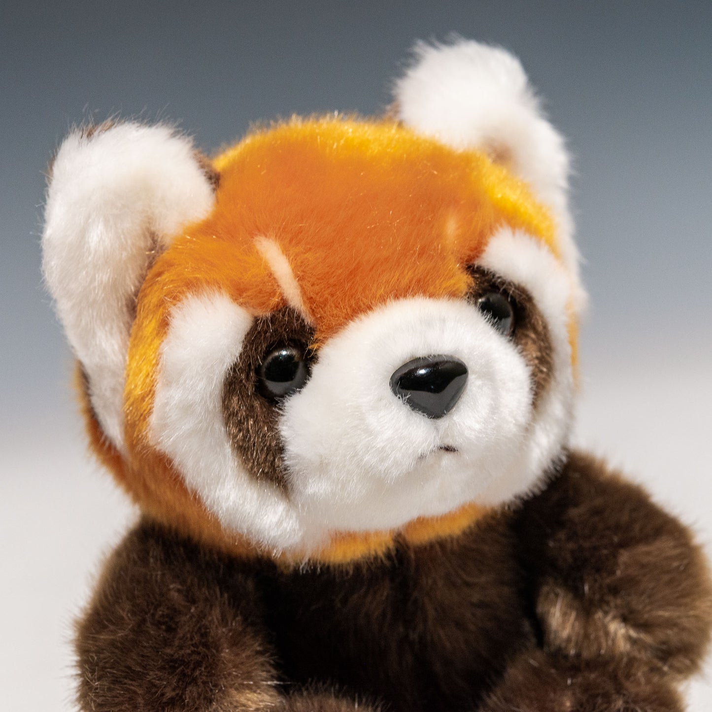 CUTE キュート販売 ぬいぐるみ お座りレッサーパンダ S Z0291 右横顔