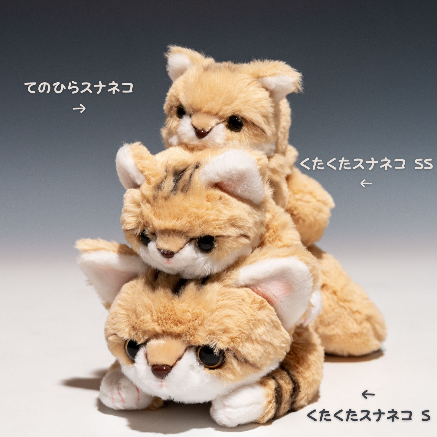 CUTE キュート販売 ぬいぐるみ くたくたスナネコが積み重なった写真