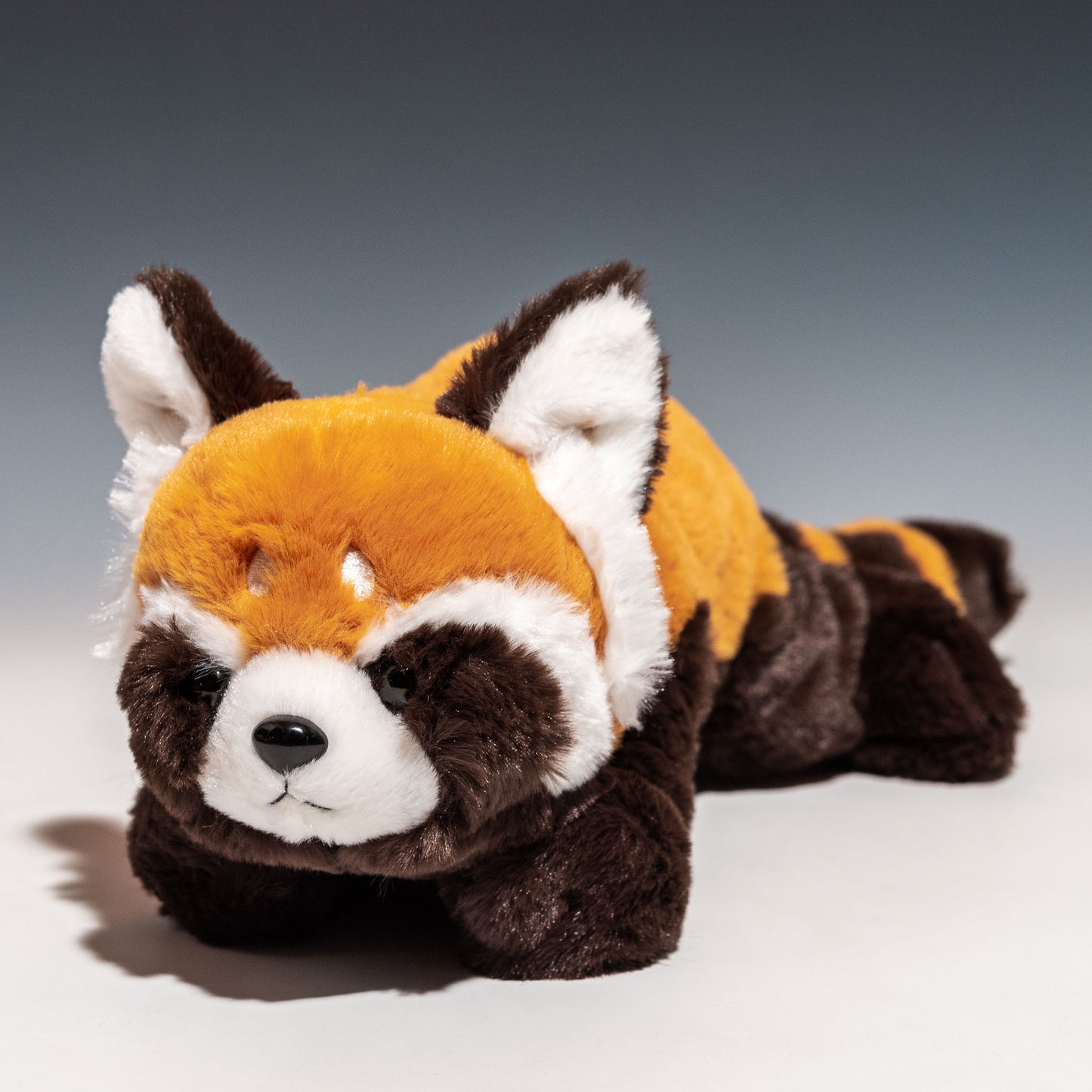 CUTE キュート販売 ぬいぐるみ くたくたレッサーパンダ M Z0323 正面