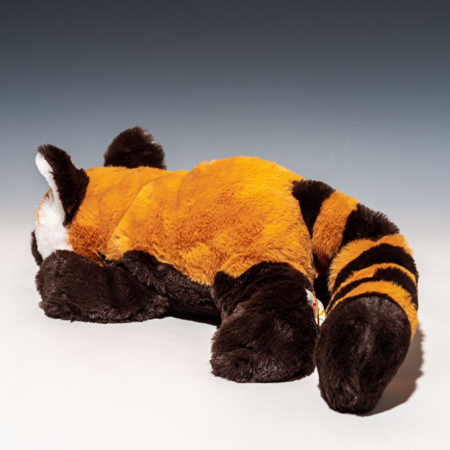CUTE キュート販売 ぬいぐるみ くたくたレッサーパンダ M Z0323 左横