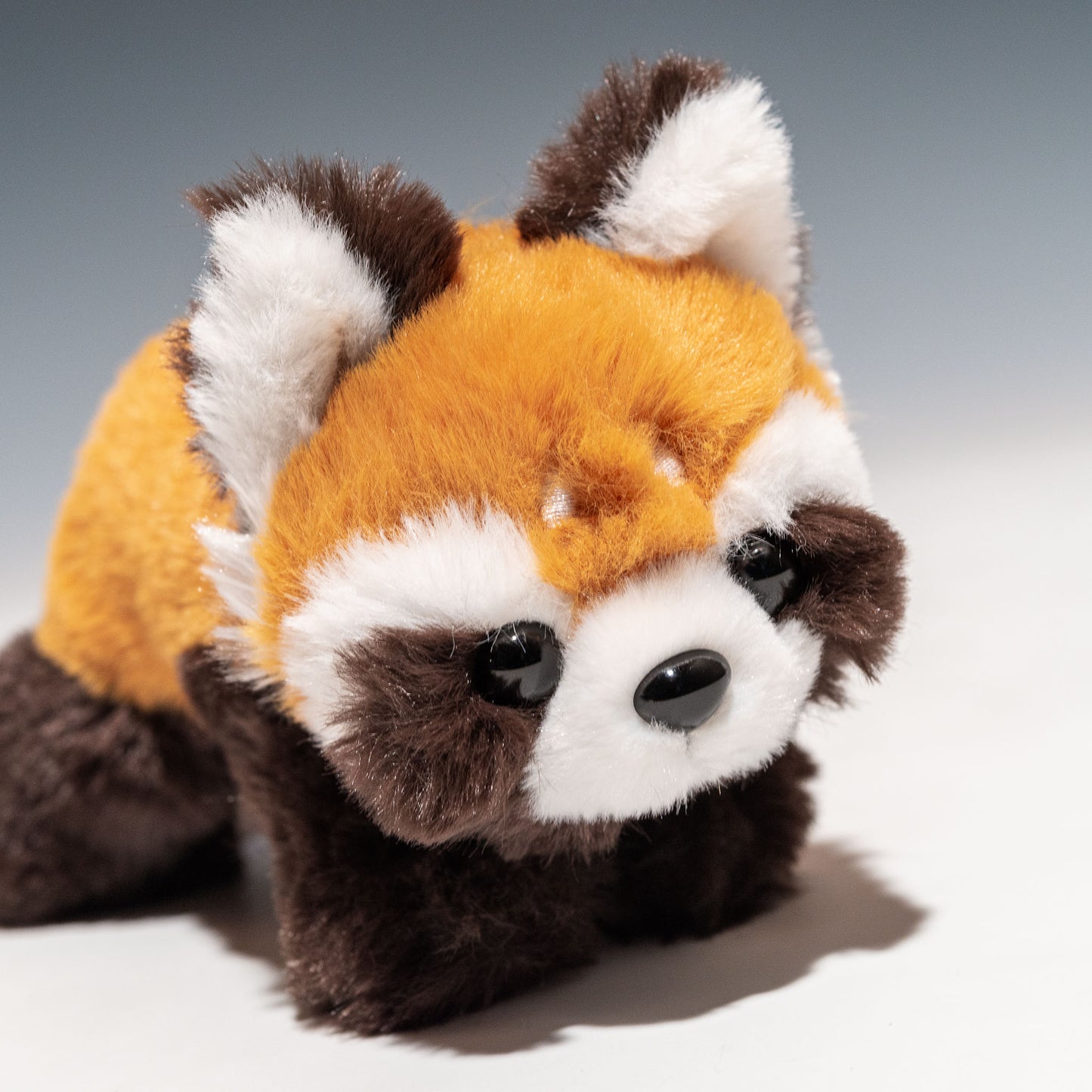 CUTE キュート販売 ぬいぐるみ くたくたレッサーパンダ SS Z0325 右横顔