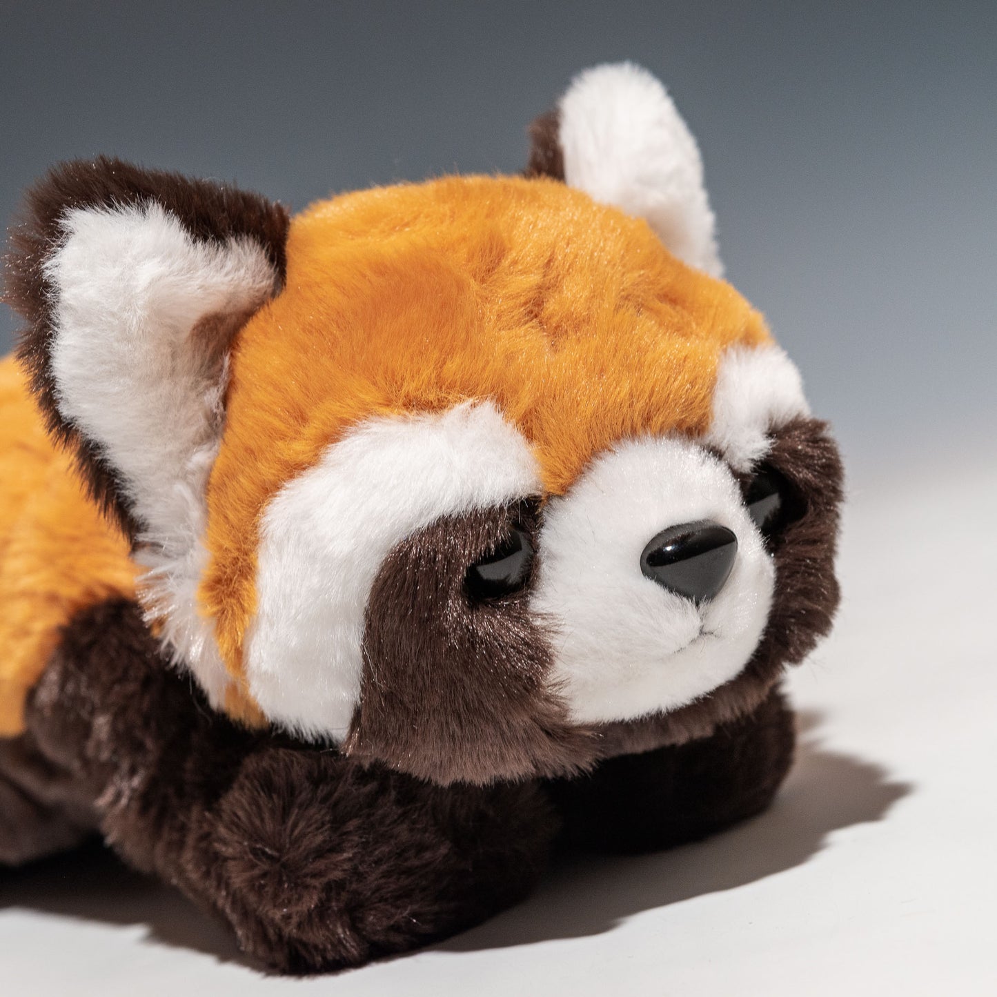 CUTE キュート販売 ぬいぐるみ くたくたレッサーパンダ S Z0326 右横顔