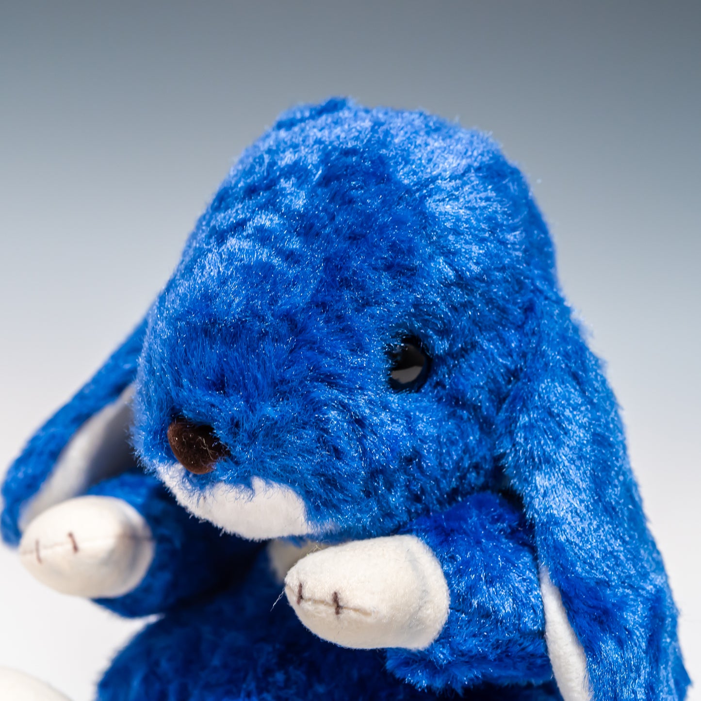 スターチャイルド STAR CHILD ぬいぐるみ ロップイヤー M アイイロ(藍色) 1553 左横顔