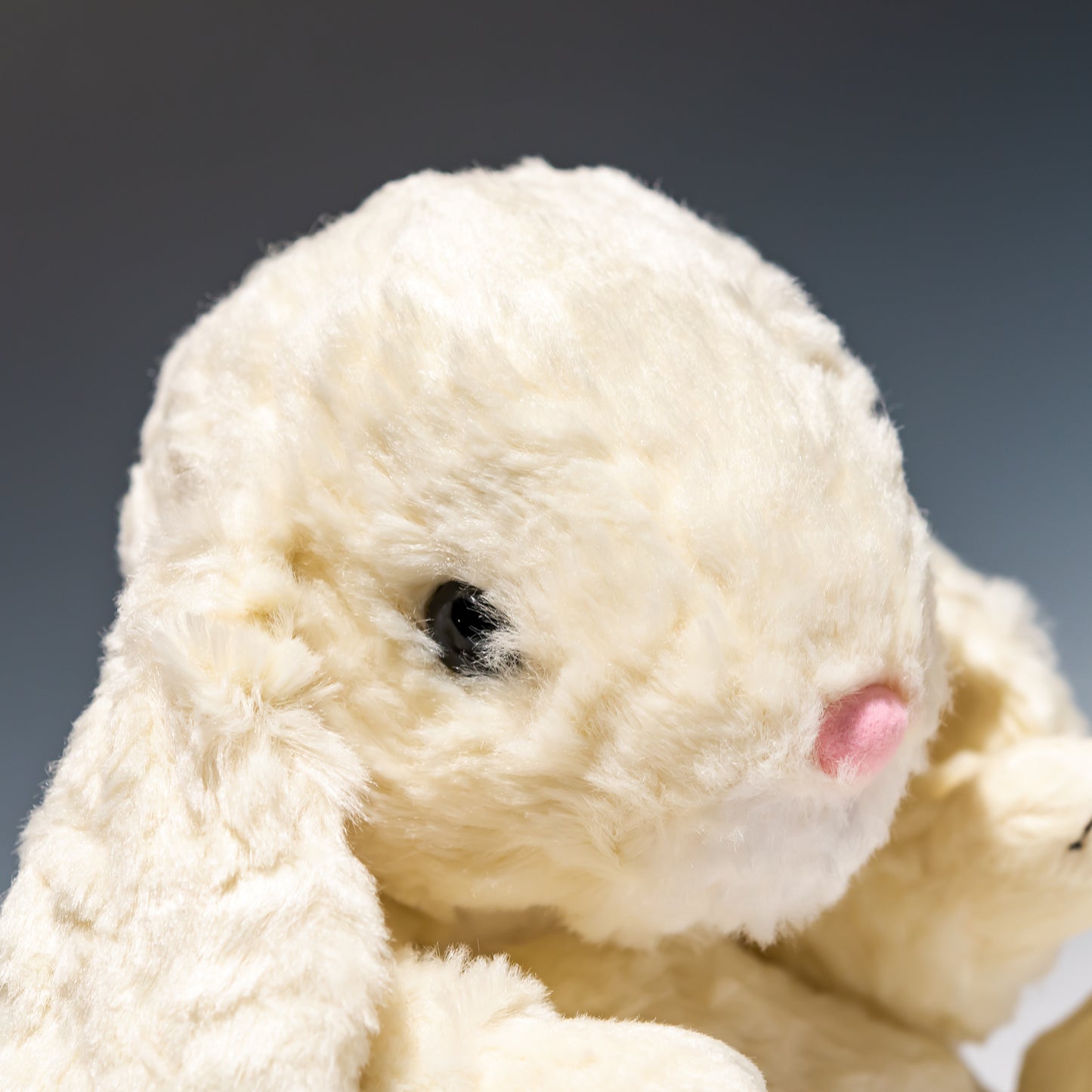 スターチャイルド STAR CHILD ぬいぐるみ ロップイヤー L アイボリー 1582 右横顔