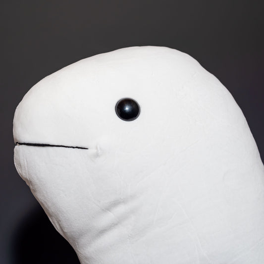 内藤デザイン研究所 ぬいぐるみ 海中散歩 ふわもこXLサイズ チンアナゴ 左横顔