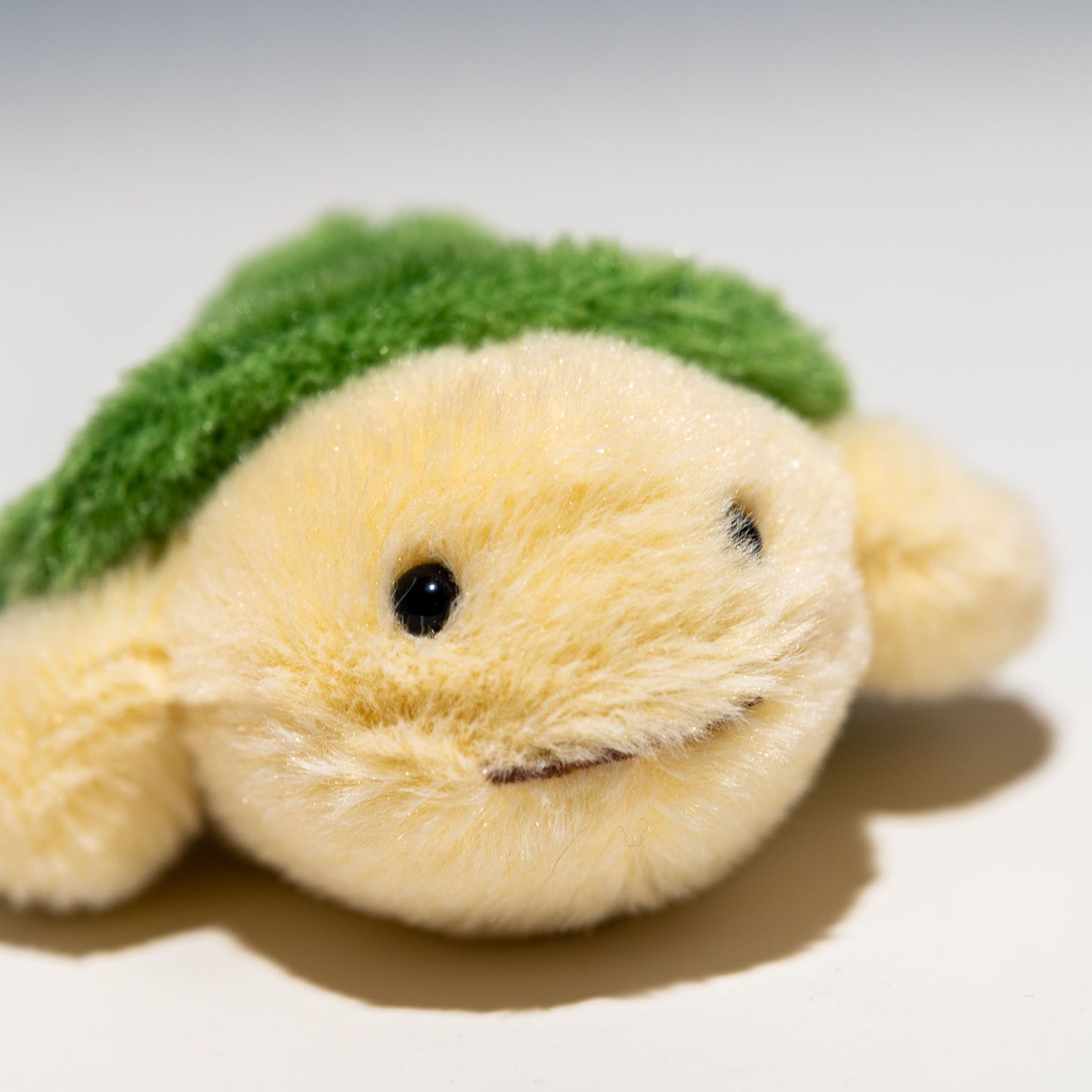 内藤デザイン研究所 ぬいぐるみ 海中散歩 ぽちゃまる Sサイズ カメ 右横顔