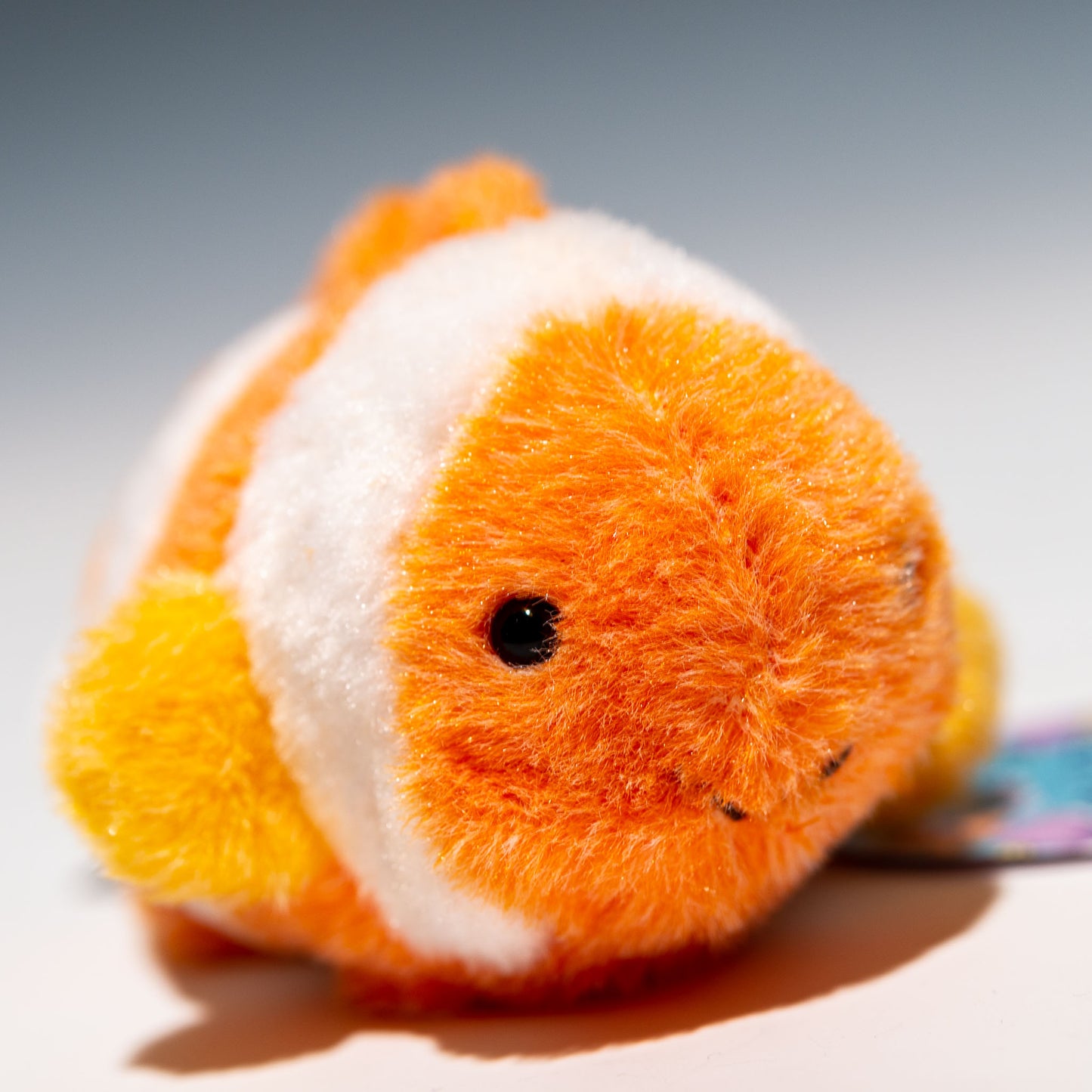 内藤デザイン研究所 ぬいぐるみ 海中散歩 ぽちゃまる Sサイズ クマノミ 右横顔