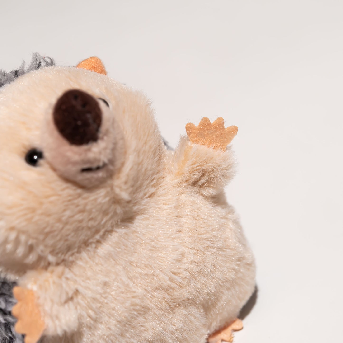 内藤デザイン研究所 ぬいぐるみ 大陸散歩 ぽちゃまる Sサイズ ハリネズミ 前足のアップ