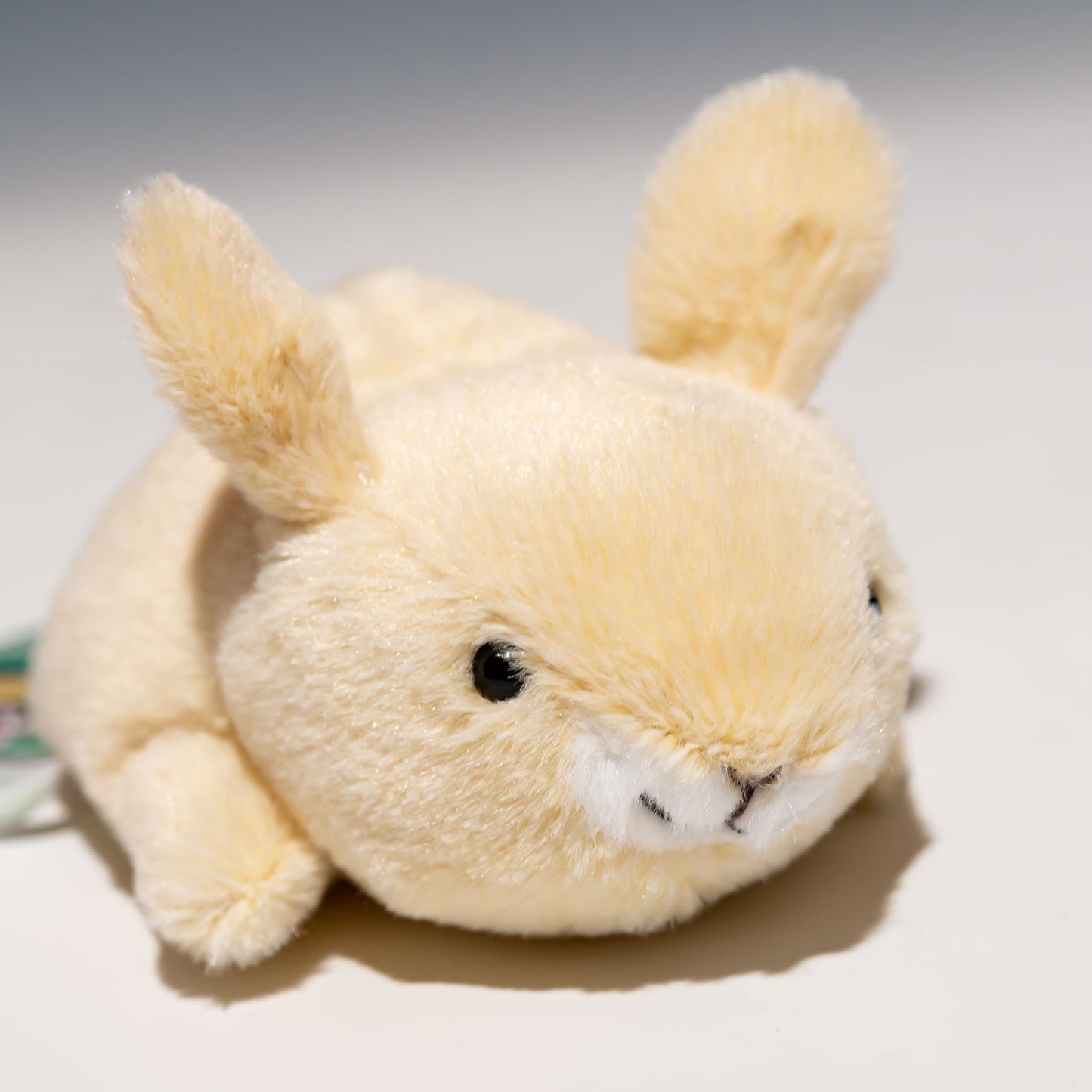 内藤デザイン研究所 ぬいぐるみ 大陸散歩 ぽちゃまる Sサイズ ウサギ 右横顔