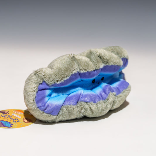 内藤デザイン研究所 ぬいぐるみ 海中散歩 ぽちゃまる 貝シリーズ Mサイズ オオシャコガイ 右横から