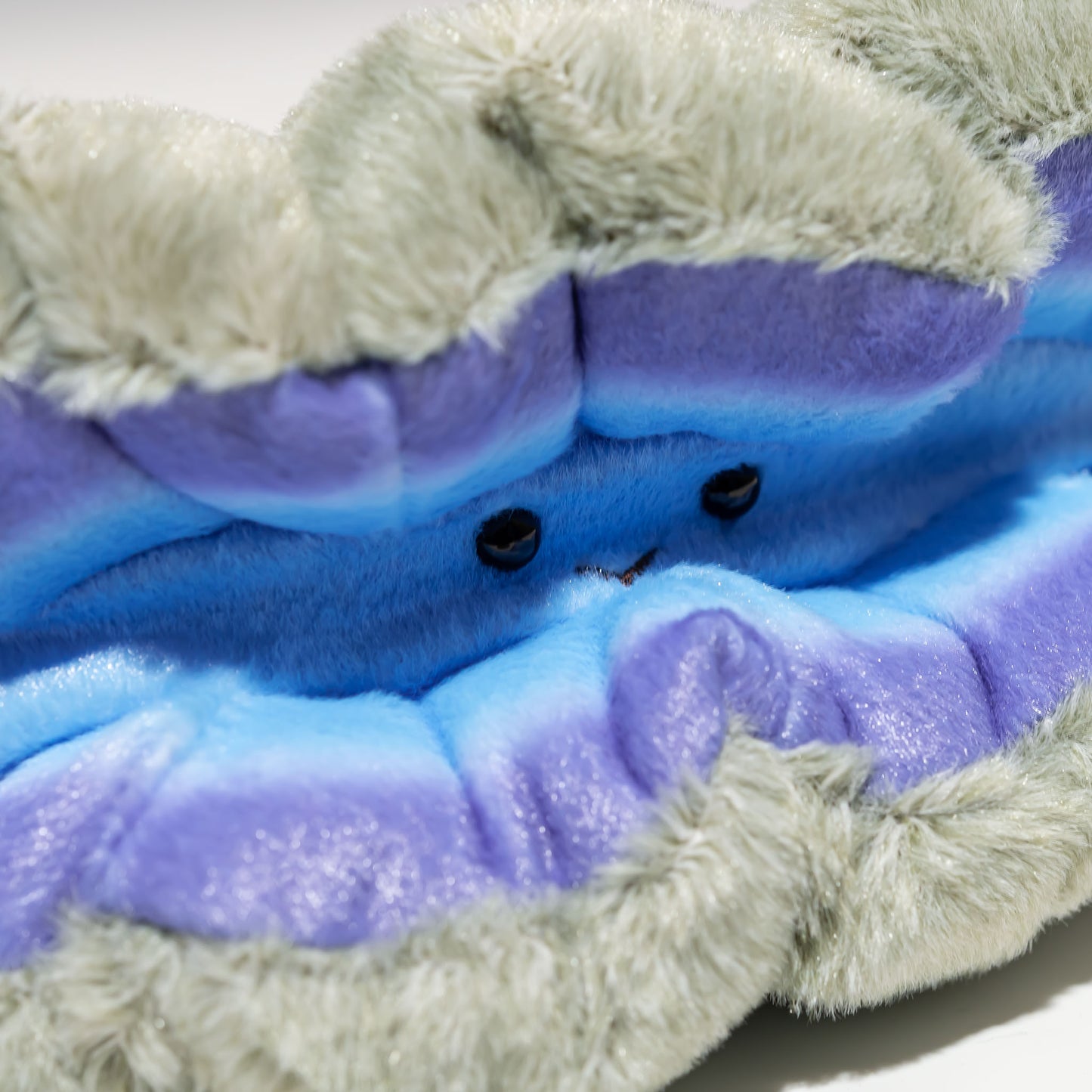 内藤デザイン研究所 ぬいぐるみ 海中散歩 ぽちゃまる 貝シリーズ Mサイズ オオシャコガイ 顔のアップ