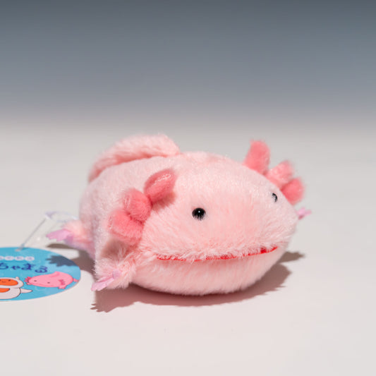 内藤デザイン研究所 ぬいぐるみ 海中散歩 ぽちゃまる Sサイズ ウーパールーパー 右横から