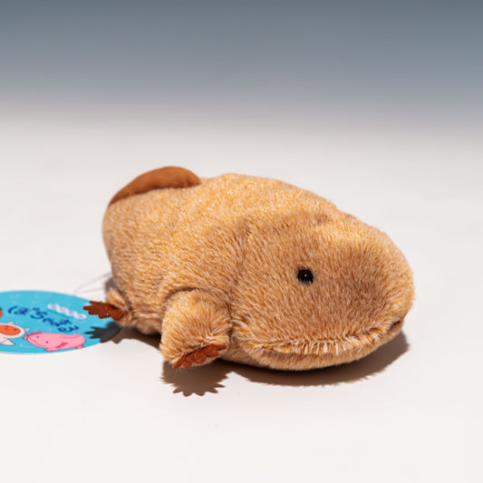 内藤デザイン研究所 ぬいぐるみ 海中散歩 ぽちゃまる Sサイズ サンショウウオ 右横から