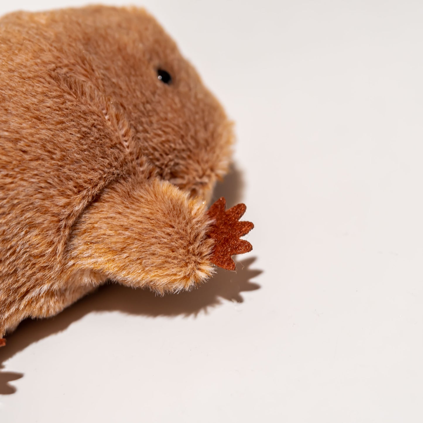 内藤デザイン研究所 ぬいぐるみ 海中散歩 ぽちゃまる Sサイズ サンショウウオ 前ヒレのアップ