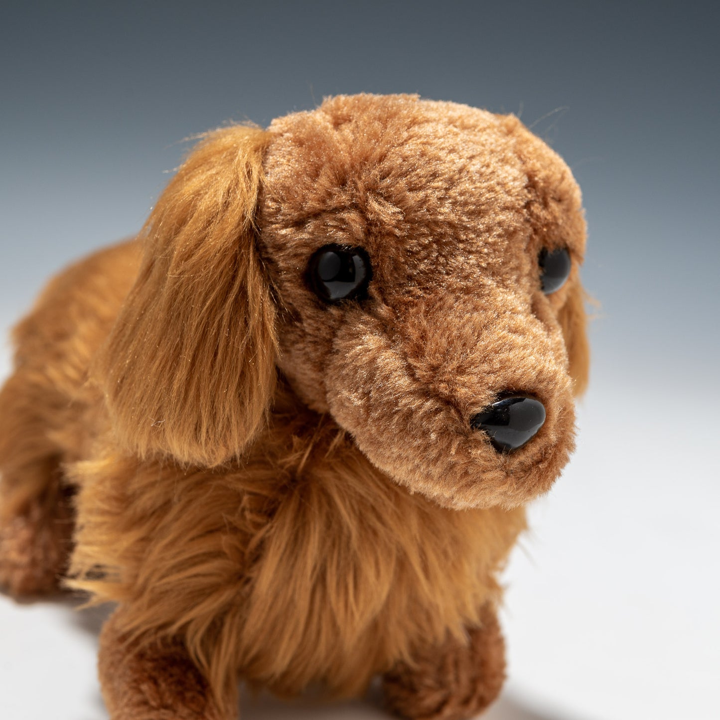 オリエンタルトーイ ぬいぐるみ ミニチュアダックス S ゴールド KK-230-G 右横顔