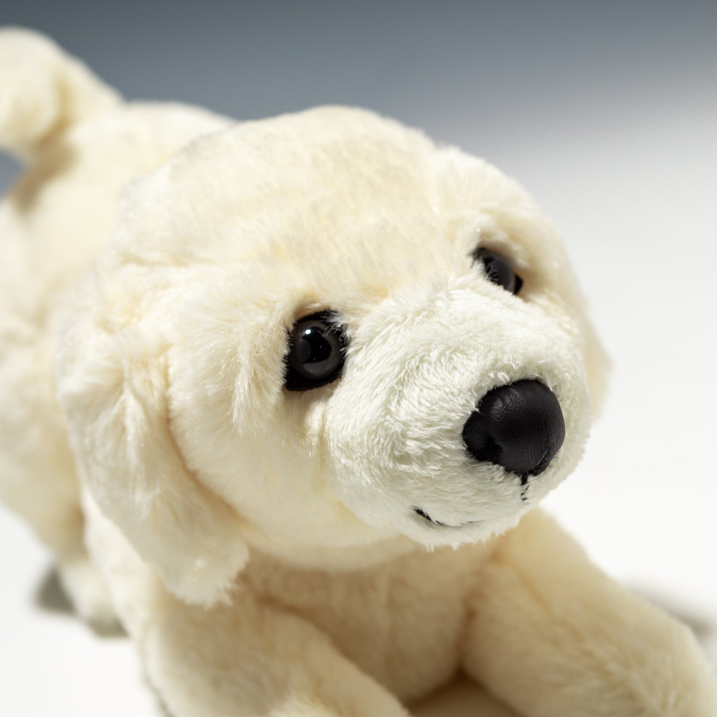 シナダ SHINADA ぬいぐるみ 豆子犬 ラブラドールレトリバー MMRW-0248 右横顔